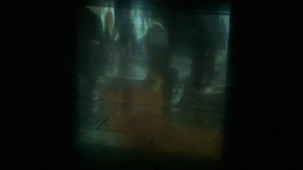 Reflexion (2008) (Reflexión [2008])