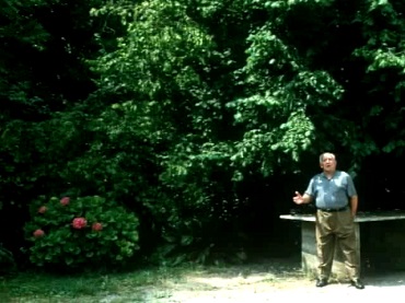 Jean-Marie Straub and Danièle Huillet. Dolando. Film, 2003