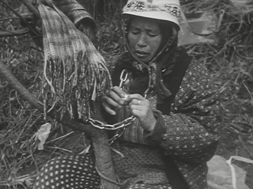 Shinsuke Ogawa. Los campesinos de la segunda fortaleza. Película, 1971