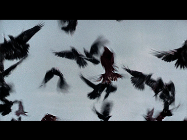 Alfred Hitchcock. Los pájaros [The Birds]. Película, 1963 