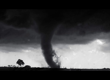 Artavad Peleshyan. Animal Cinema, película, 2017 Artavad Peleshyan. Animal Cinema, película, 2017