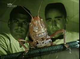 Adam Curtis. Pandora ’s Box. Episode 3: The League of Gentlemen [La caja de Pandora. Episodio 3: La liga de los caballeros]. Película, 1992