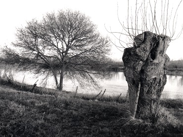Jean-Marie Straub. Itinéraire de Jean Bricard (Itinerary of Jean Bricard). Film, 2008