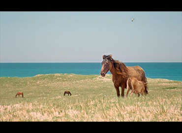 Jacquelyne Mills. Geographies of Solitude, película, 2022 Jacquelyne Mills. Geographies of Solitude, película, 2022