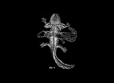 Mary Helena Clark y Mike Gibisser. Common Sequence, película, 2023 Mary Helena Clark y Mike Gibisser. Common Sequence, película, 2023