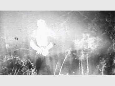 Stan Brakhage. Blue Moses. Película, 1962