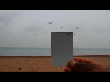 Cauleen Smith. The Way Out Is the Way Two: Fourteen Short Films About Chicago and Sun Ra. Film, 2012