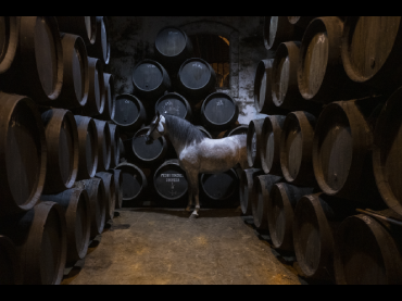 0.    Pedro G. Romero y Gonzalo García-Pelayo, Siete Jereles, película 2022