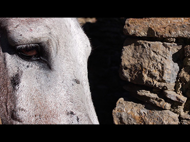 0. Narimane Mari, Holy Days, película, 2019