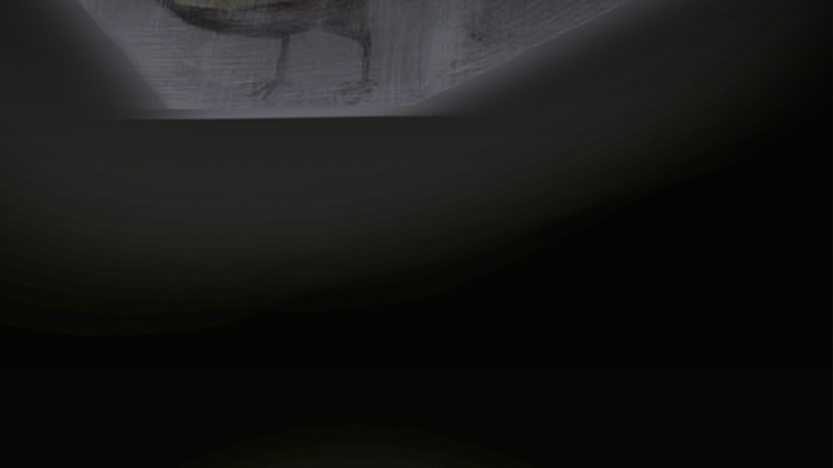 Image that will be used when sharing