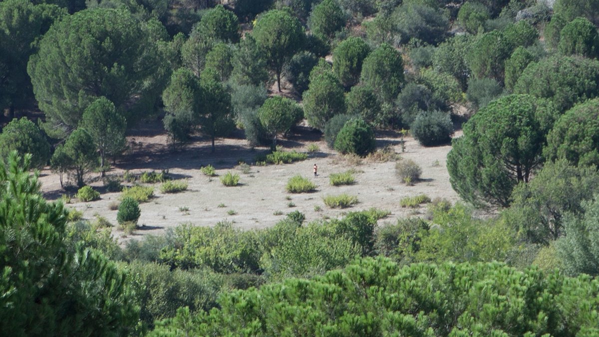 Image that will be used when sharing