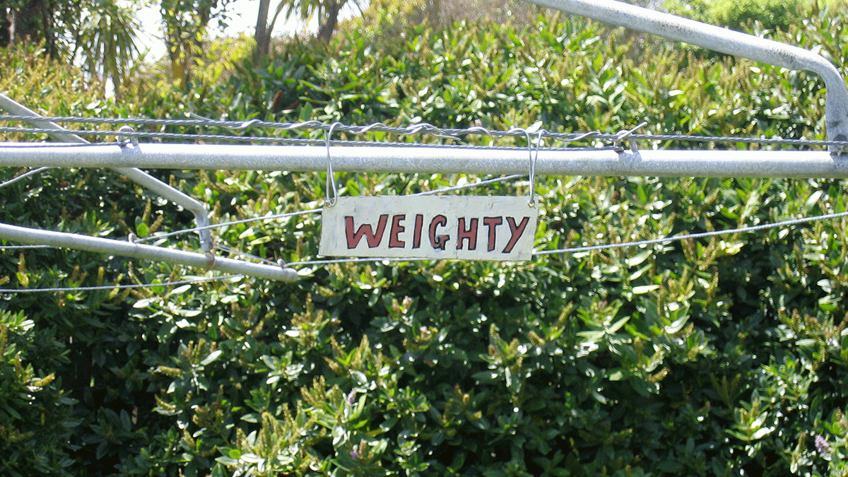 Image that will be used when sharing