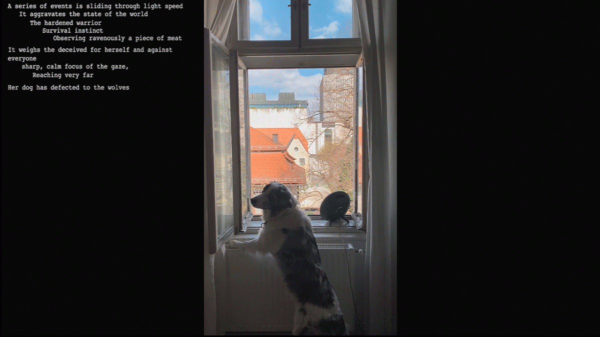 Image that will be used when sharing