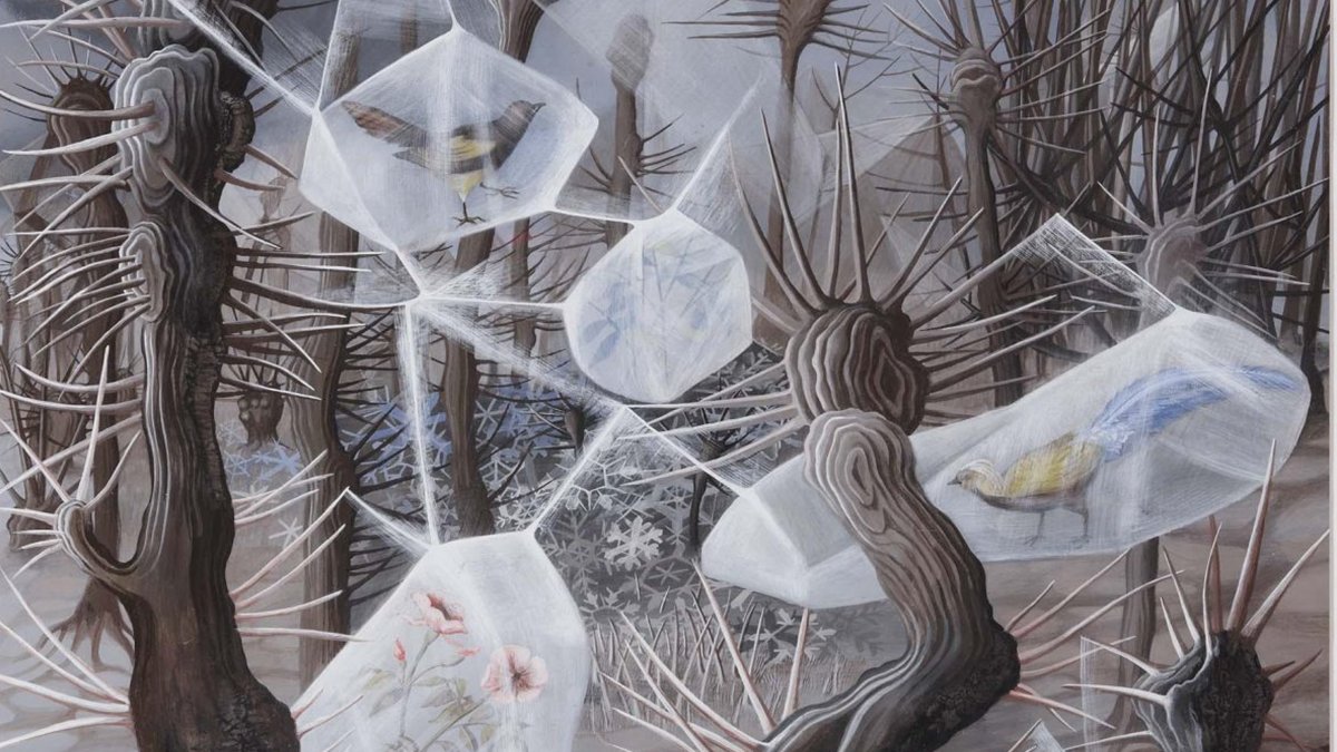 Image that will be used when sharing