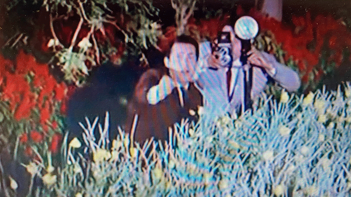 Image that will be used when sharing