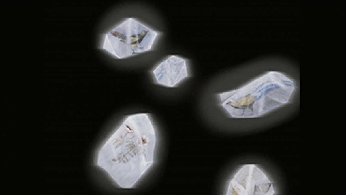 Image that will be used when sharing