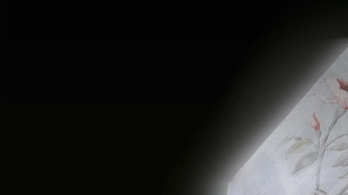 Image that will be used when sharing