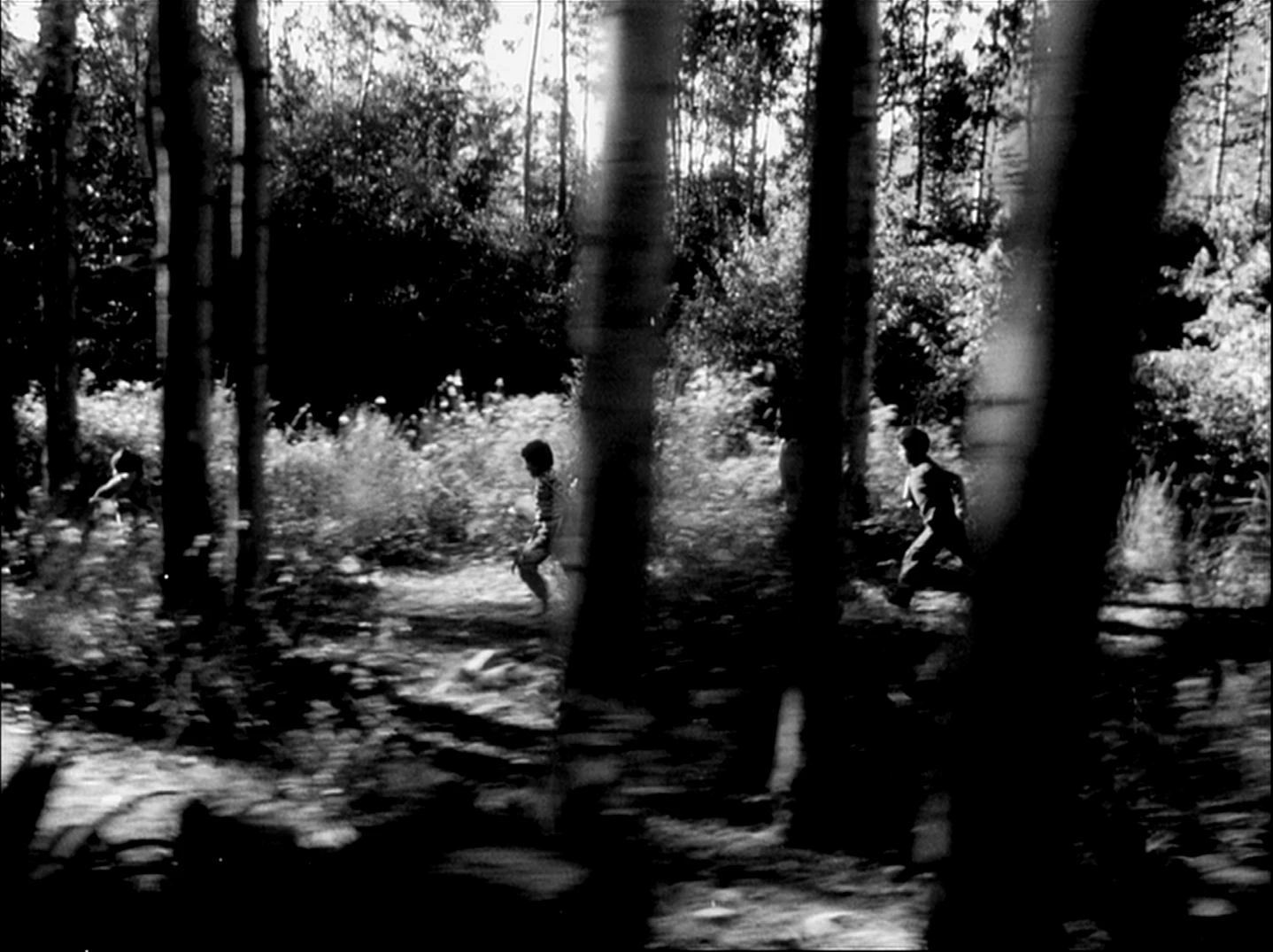 Grupo de Cine Liberación sin Rodeos. Niños, 1974, película