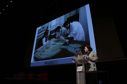 Imágenes de la 13ª Jornada de Conservación de Arte Contemporáneo