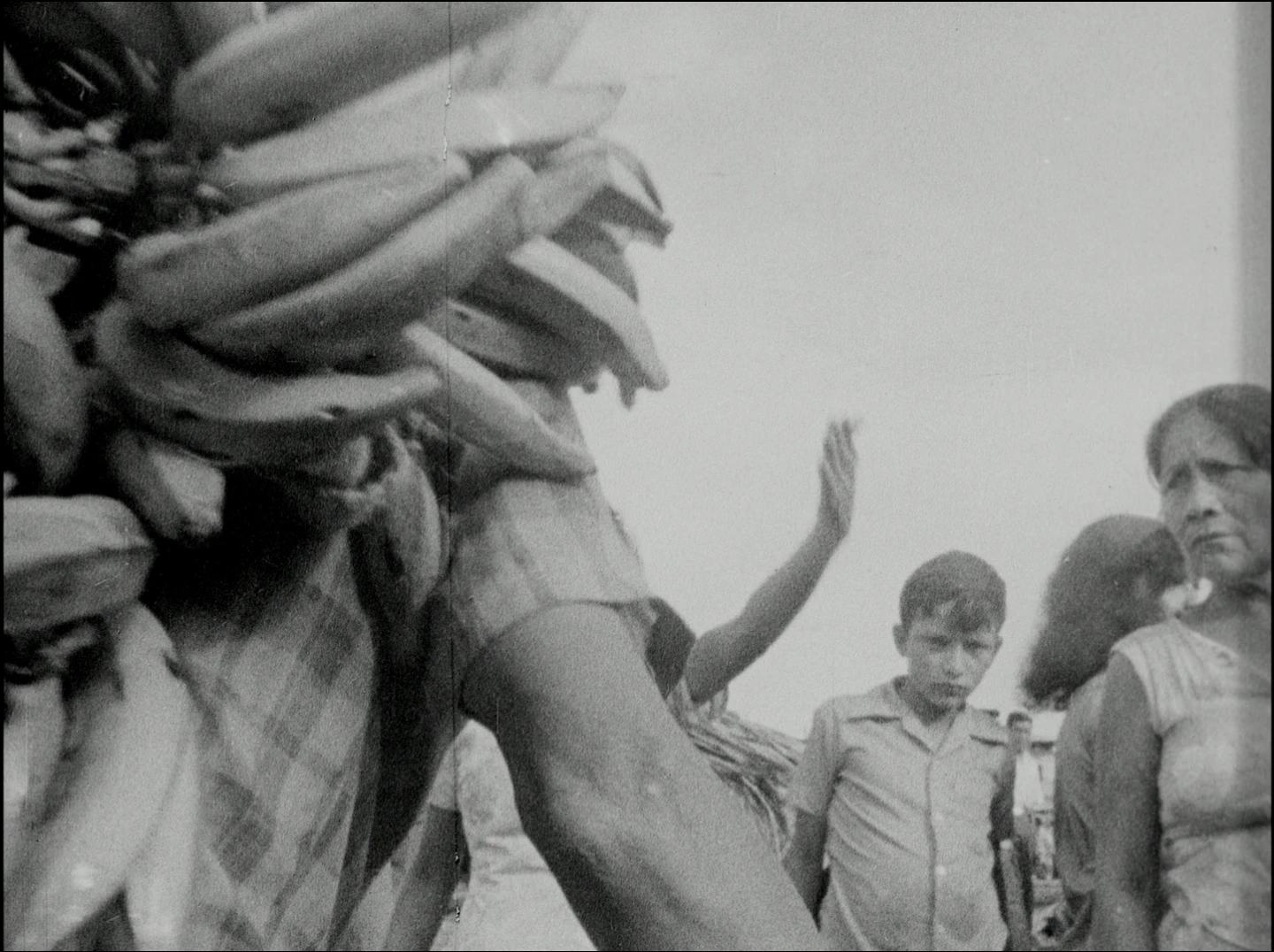 Grupo de Cine Liberación sin Rodeos. Visión de la Selva, 1973, película