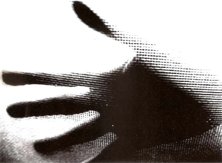 Ines Cardoso. Diástole, 1994