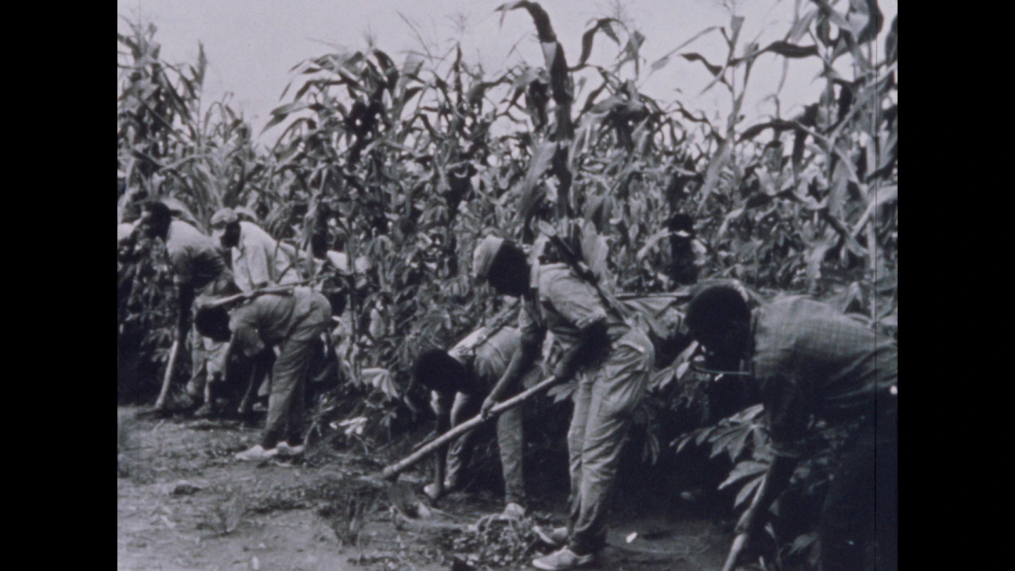 Skip Norman, On Africa [Sobre África], 1970, película
