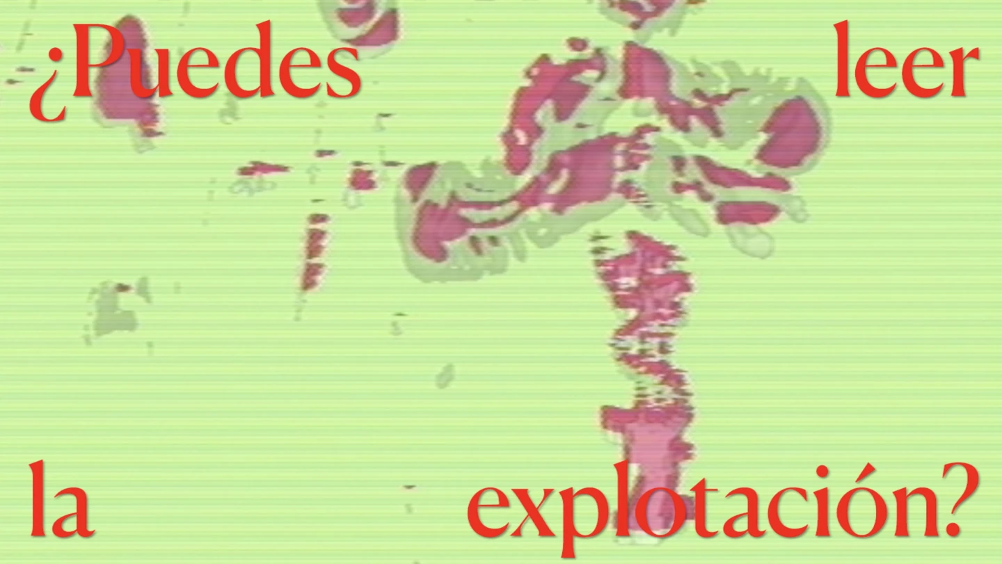 Public Display of Professionalism, CISMA / SCHISM, película, 2018