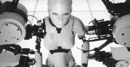 Chris Cunningham. All is Full of Love, 1999