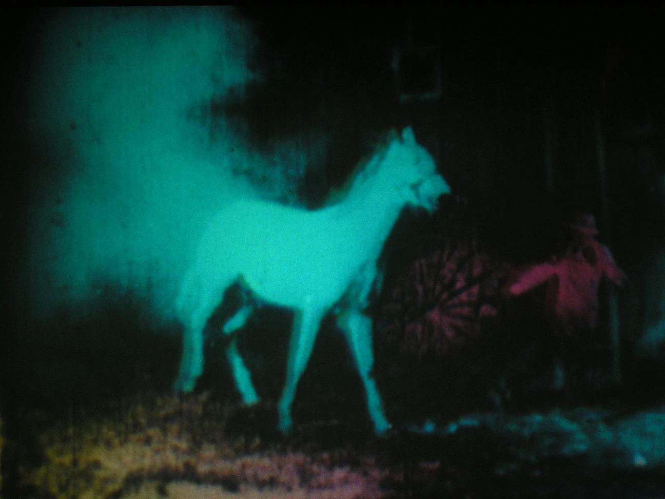 Malcolm Le Grice. Berlin Horse, 1970