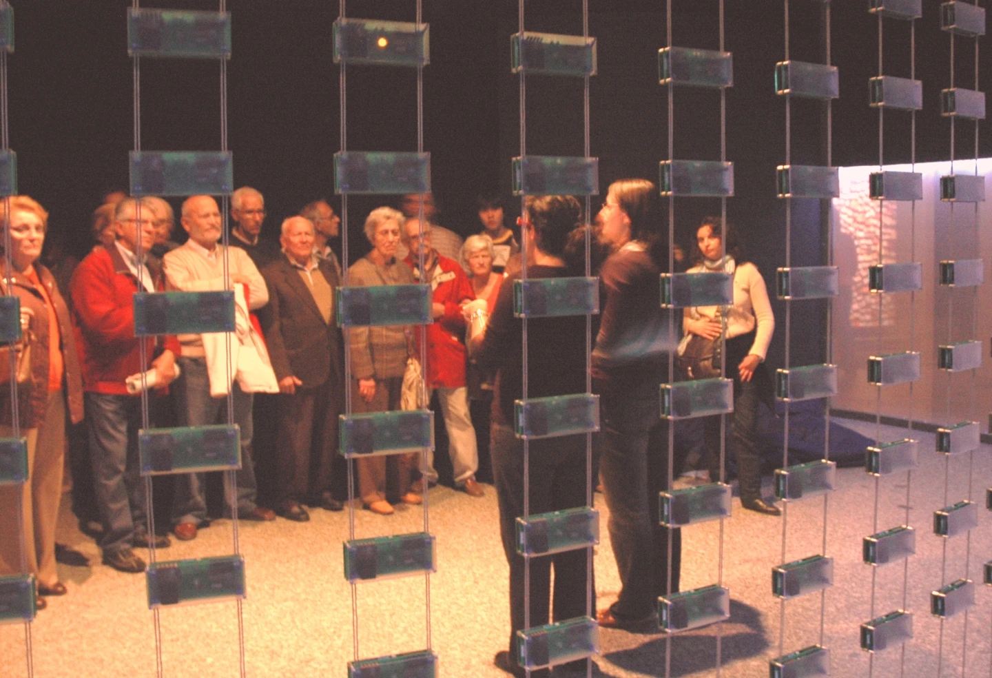 Grupo de personas sordas asistiendo a una visita a la exposición "Máquinas y Almas" con Intérprete en LSE. Museo Reina Sofía, 2008.