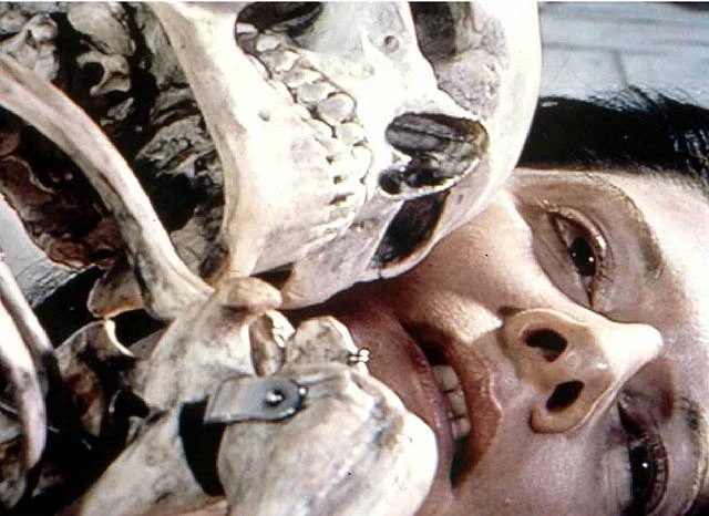 Marina Abramović. Cleaning the Mirror II, 1995