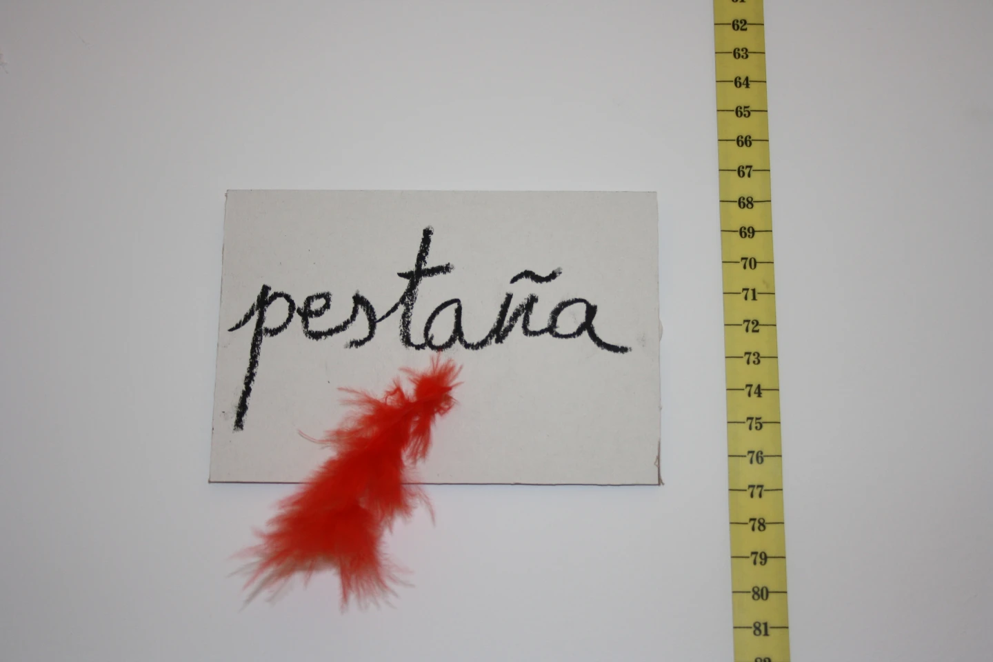 Momentos de la actividad. Museo Reina Sofía, 2009.