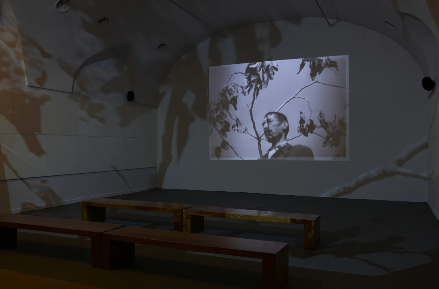 Imagen de una de las salas de la exposición Desbordamiento: Val del Omar. Museo Reina Sofía, 2010.