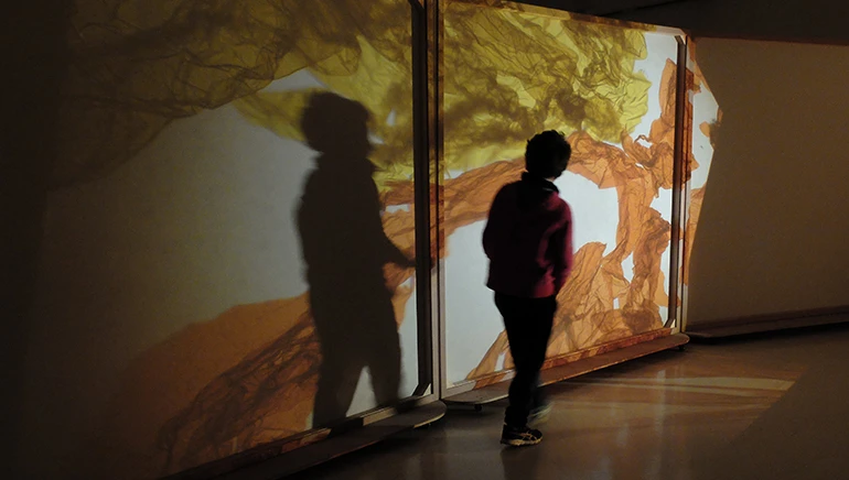 Un momento de la actividad Actuar en la sombra