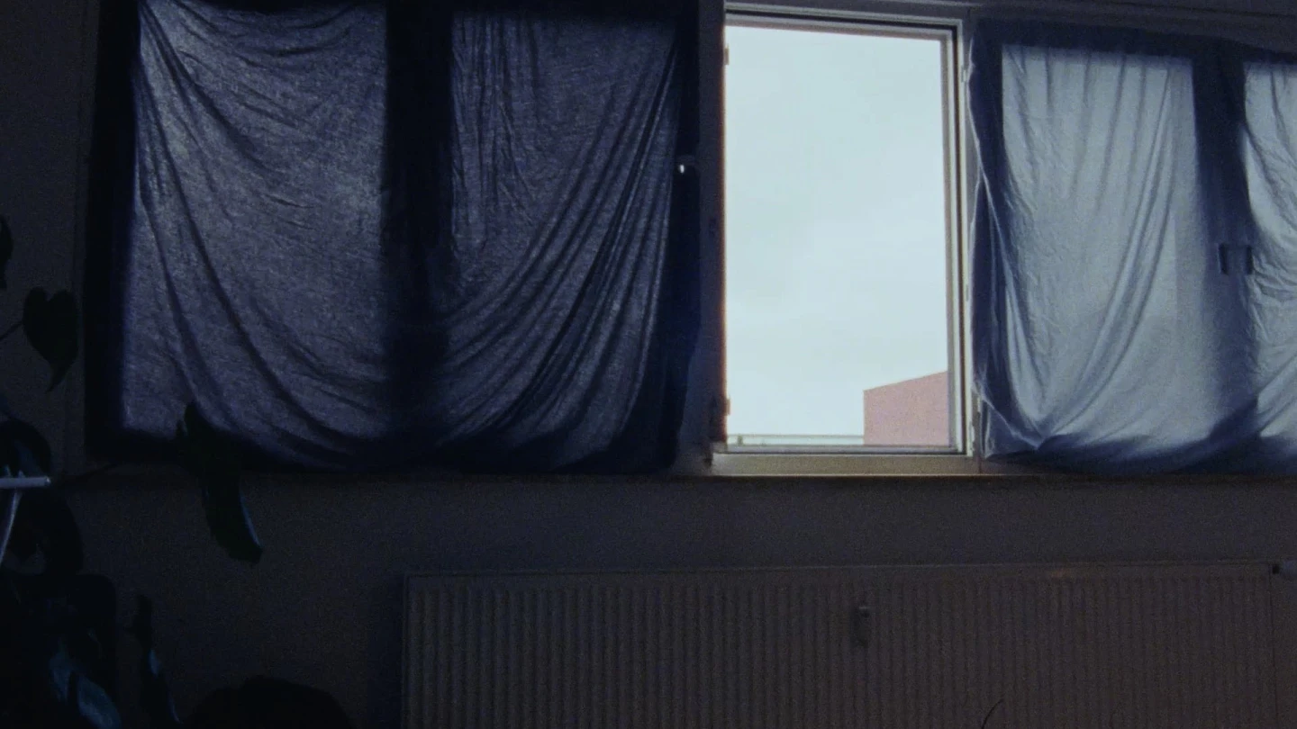Basma al-Sharif, Morgenkreis [Círculo de la mañana], 2025, película