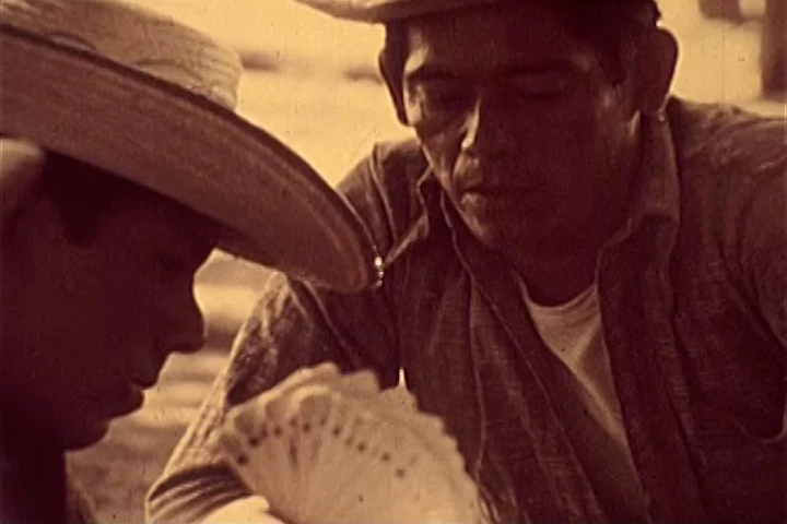 Cinema Department, Organización Campesina (Farmers’ Organisation), 1978, film