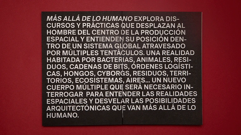 Fotografía del libro Más allá de lo humano, Ed. Bartlebooth, 2018