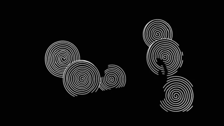 Florian Pumhösl. OA 1979-3-5-036, After Take Hiratsugi, Gozen Hiinagata (Dress Patterns for Noble Ladies) [OA 197-3-5-036, según Hiratsugi, Gozen Hiinagata (Diseños de vestidos para mujeres nobles)]. Proyección, 2007