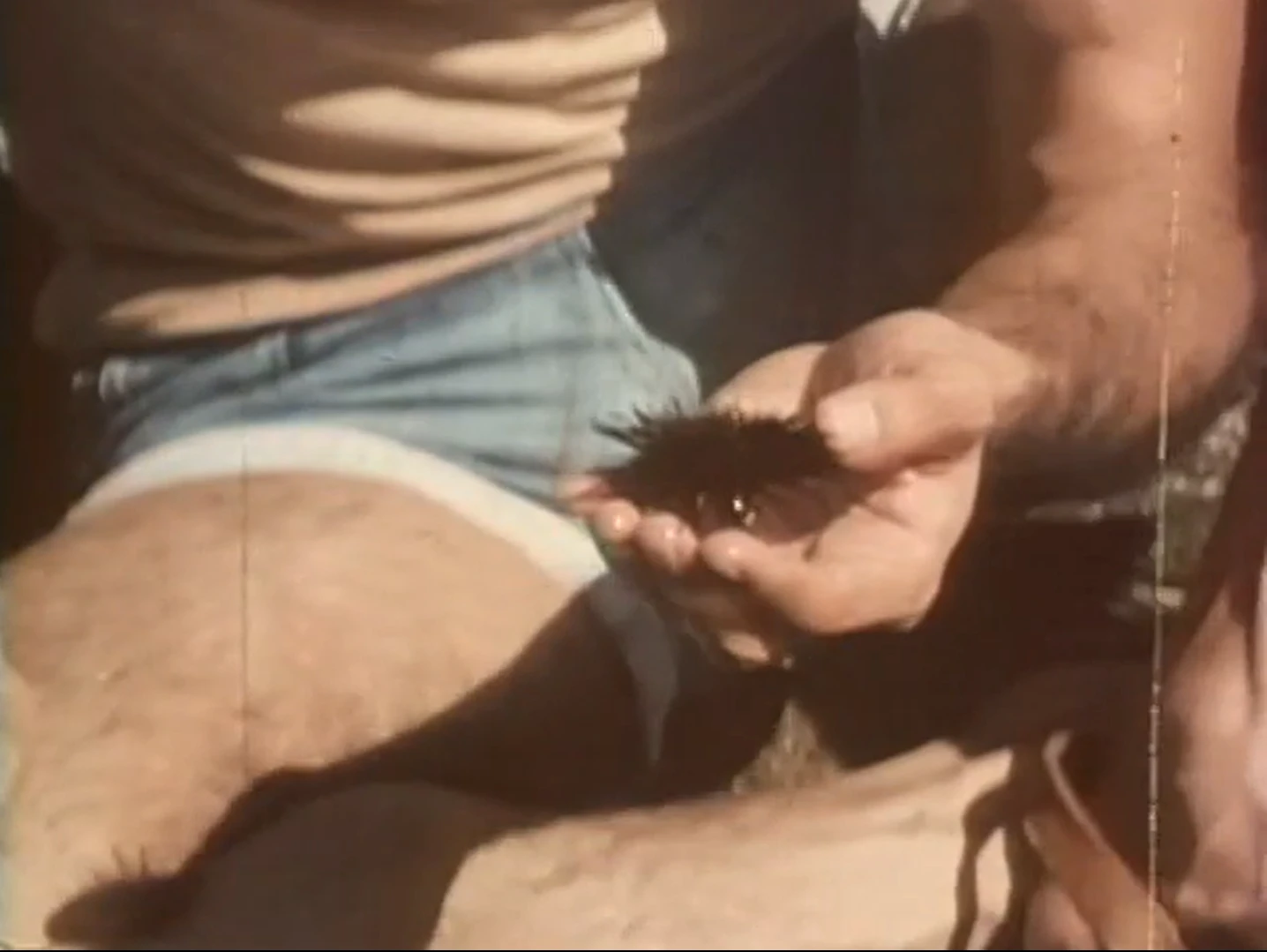 Taller de los Vagos, La zona intertidal (The Intertidal Zone), 1980, film