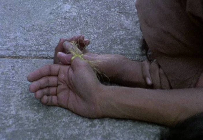 Paul Leduc, Historias prohibidas de Pulgarcito (Forbidden Tales of Tom Thumb), 1980, film