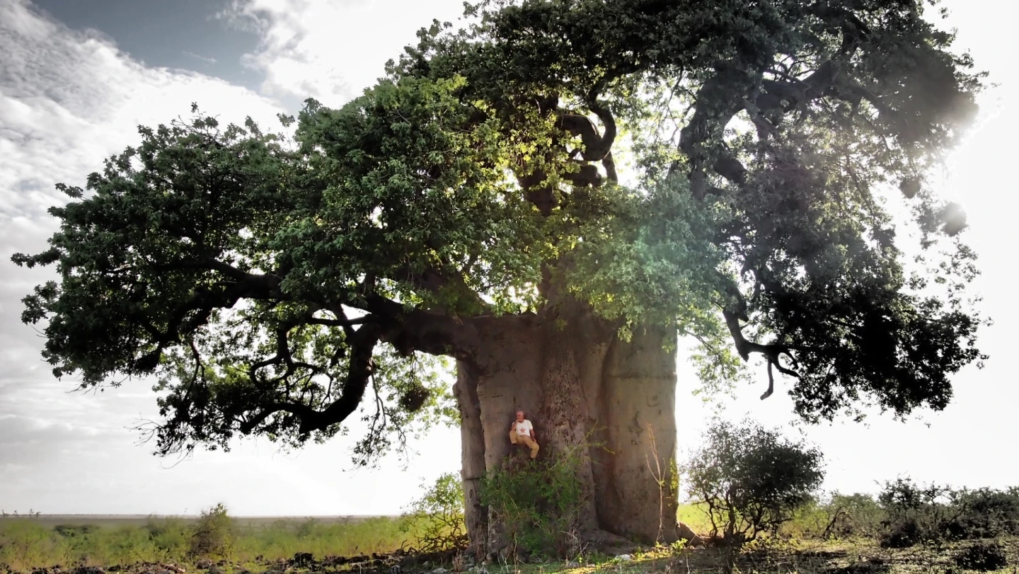 Francisco López en Tanzania. Fotografía: Barbara Ellison