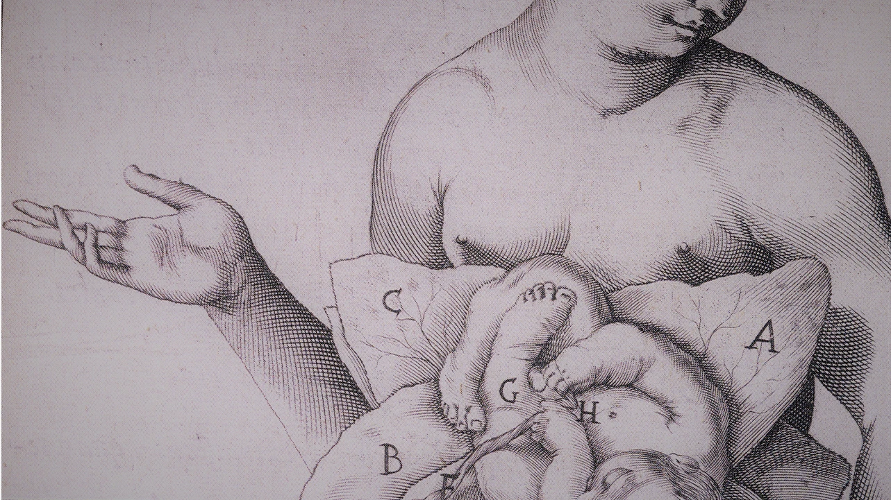 Benjamin A. Rifkin, Judith Falkenberg y Michael J. Ackerman, L’Anatomie humaine en Giulio Cesare Casseri y Adriaan van den Spieghel, De humani corporis fabrica libri decem. Venecia, Evangelista Deuchinus, 1627