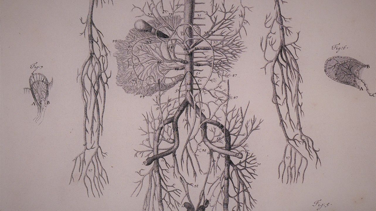 Govaert Bidloo y Gérard Lairesse, The anatomy of human bodies. Oxford, Sheldonian Theater, 1698
