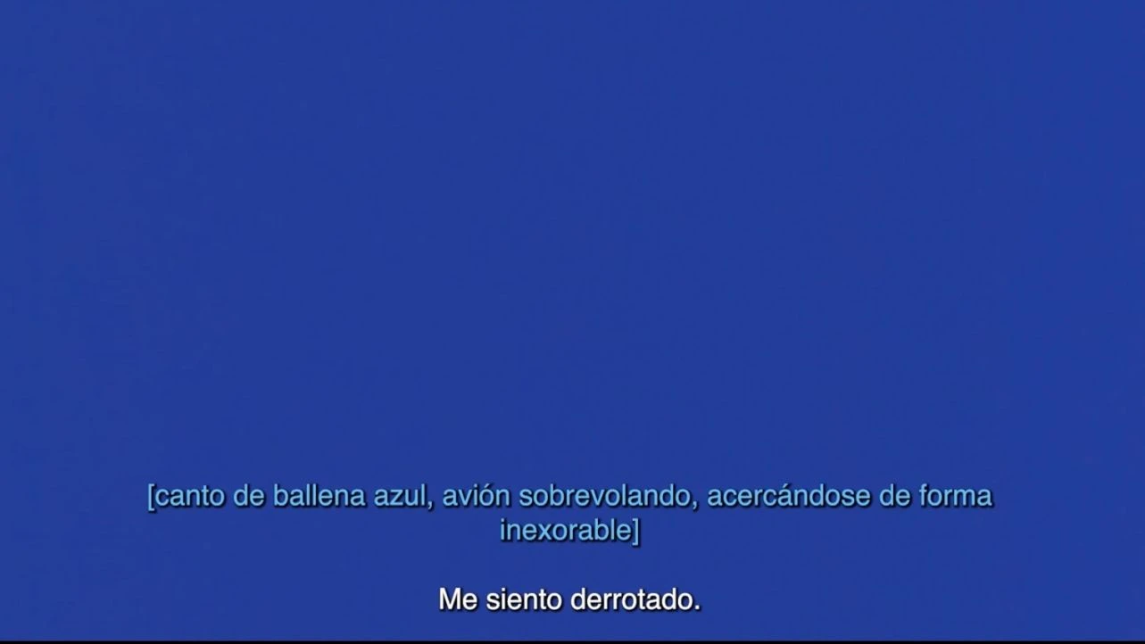 Liza Sylvestre, Christopher Jones y Sarah Hayden, Blue Description Project, 2024