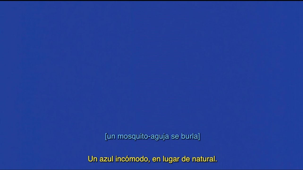 Liza Sylvestre, Christopher Jones y Sarah Hayden, Blue Description Project, 2024