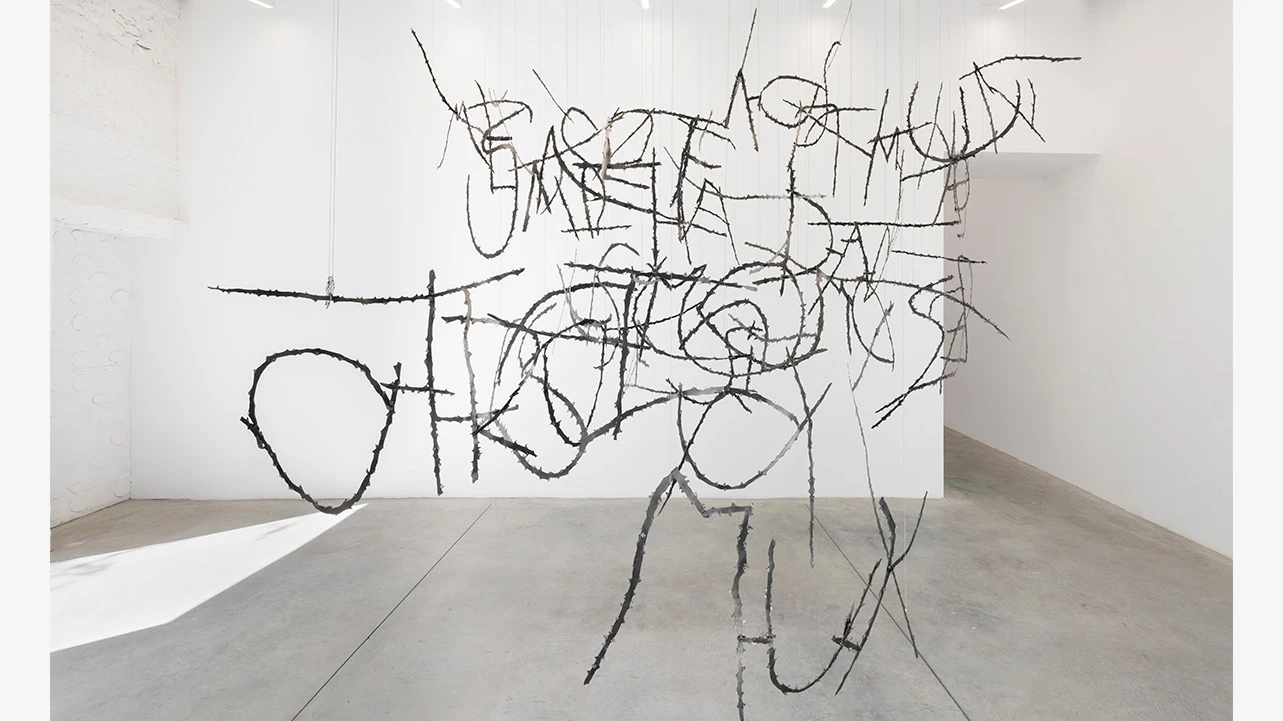 Sahatsa Jauregui, Zarzar, view of the installation, 2023. Spiritvessel, Espinavessa. Photograph: Roberto Ruiz