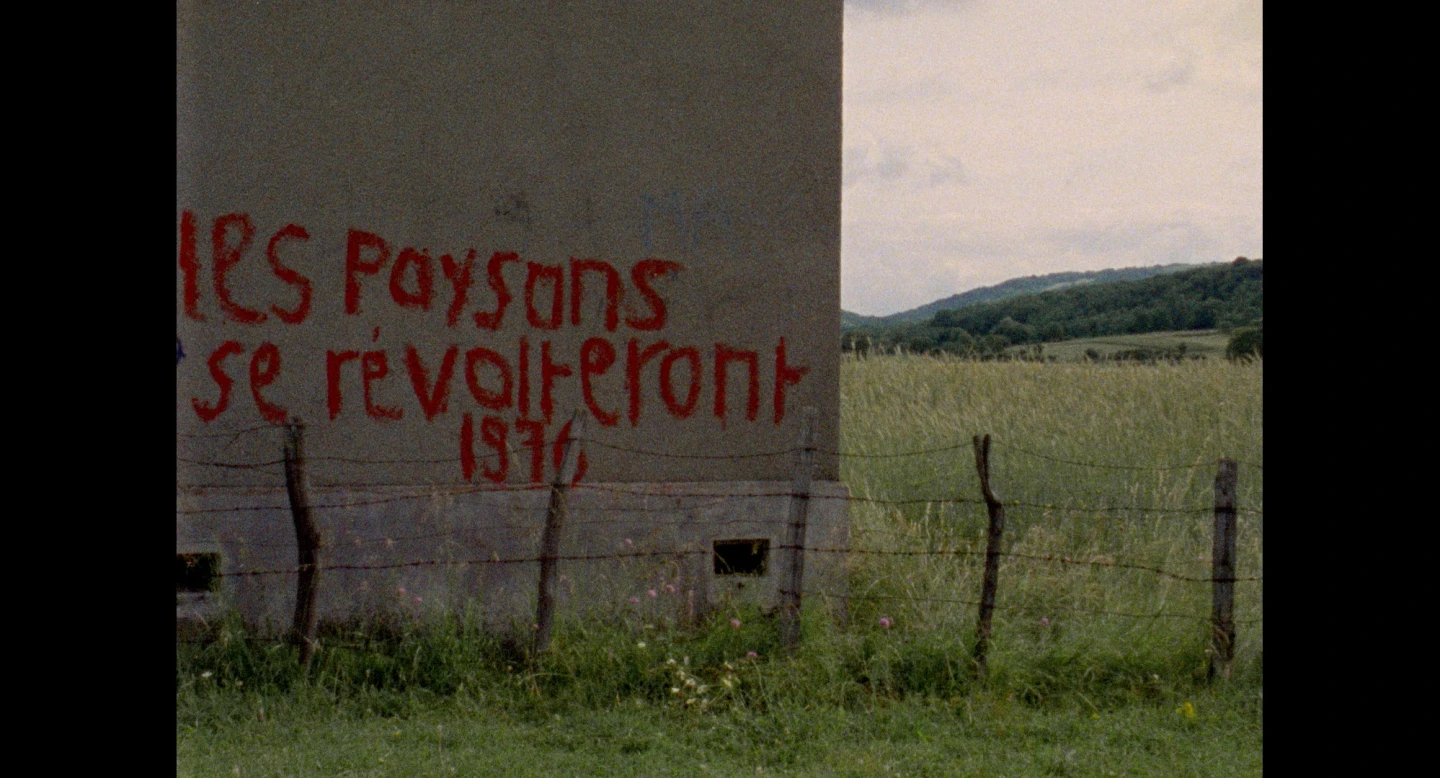 Demasiado pronto, demasiado tarde, 1981, película  