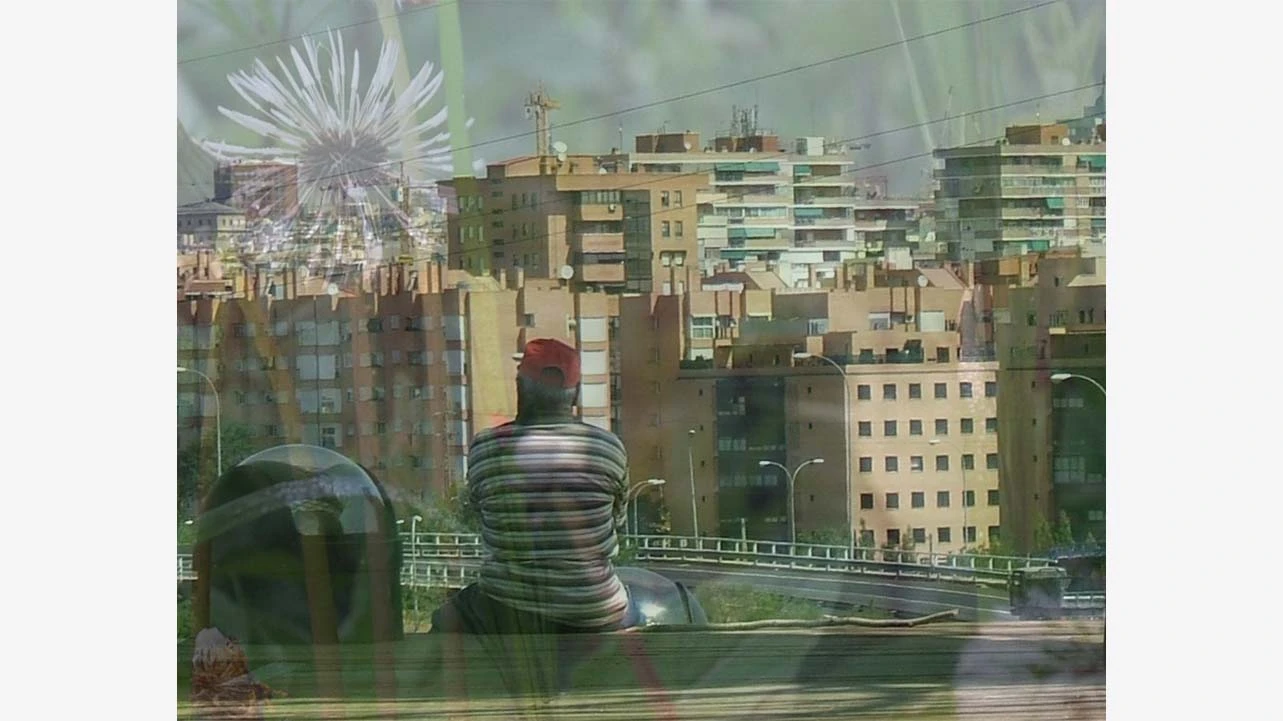 Imagen Cristina Palmese, 2022