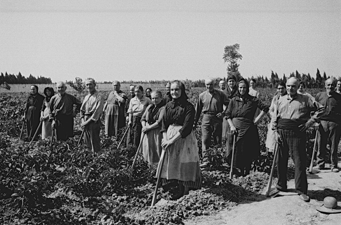 Carlos Pérez de Rozas, Colectivización de propiedades en Calonge, 1937