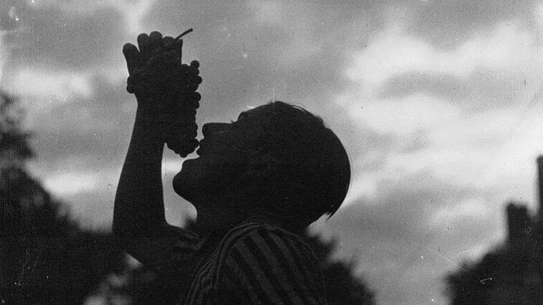 Cosecha 2015. Imagen gallica.bnf.fr / Bibliothèque nationale de France